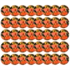 Select Classic V24 Soccer Ball - Orange/Multicolor - 40 Pack 0388588798-40PCK