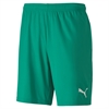 Puma Team Goal 23 Knit Shorts - Pepper Green/White 704262-05